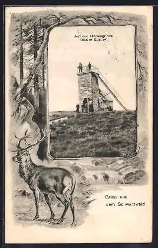 Künstler-AK Hornisgrinde, Aussichtsturm auf dem Hornisgrinde, Hirsch