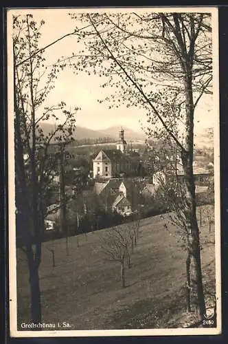 AK Grossschönau i. Sa., Ortsansicht