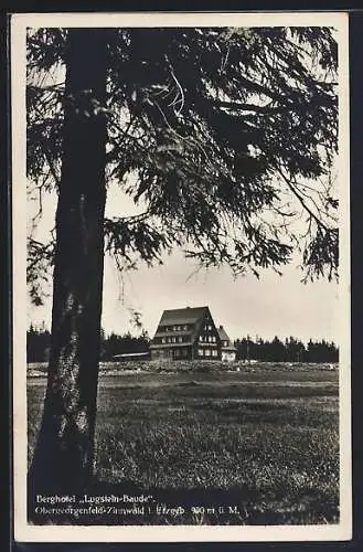 AK Obergeorgenfeld-Zinnwald, Berghotel Lugstein-Baude