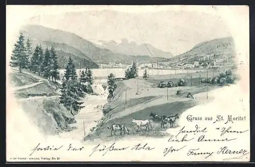 AK St. Moritz, Ortspartie mit Sturzbach und weidenden Kühen