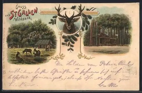 Lithographie St. Gallen, Rehe im Wildpark und Holzhaus im Wald