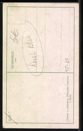 Künstler-AK Sokol-Turnerin mit Mütze