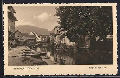 AK Amorbach i. Odenwald, Partie an der Mud