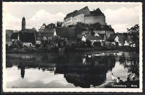 AK Cadolzburg, Burg mit Teichpartie