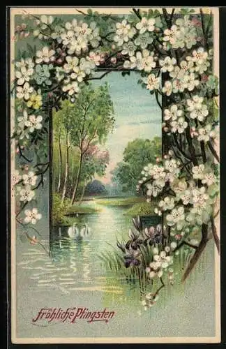Präge-AK Fröhliche Pfingsten, Schwäne im Frühling, Blumen-Rahmen