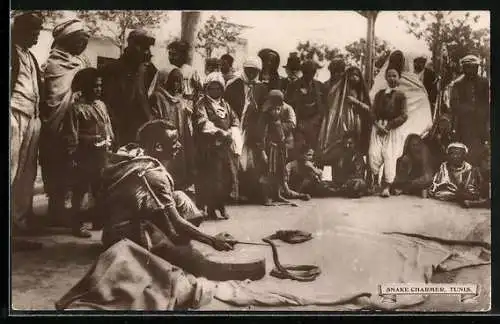 AK Tunis, Snake Charmer, Schlangenbeschwörer, Dressur