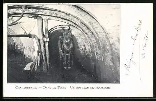 AK Charbonnage, Un Bouveau de Transport, Kohle