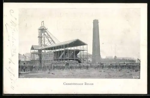 AK Charbonnage Belge, Kohle