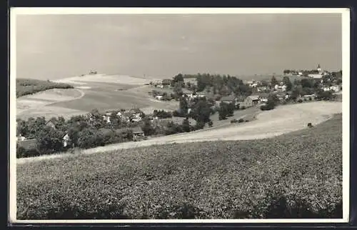 AK Langenwolschendorf /Zeulenroda, Ortsansicht mit Feldern