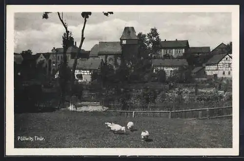 AK Pöllwitz /Thür., Dorfansicht mit Kirche und Fachwerkhäusern