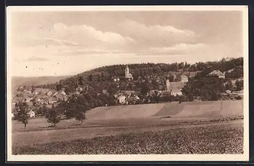 AK Ortenburg, Ortsansicht von Süden