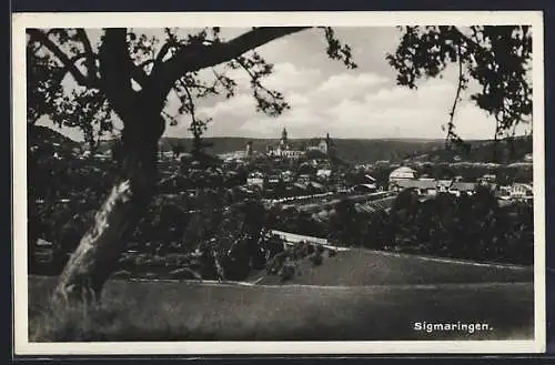 AK Sigmaringen, Ortsansicht mit Schloss