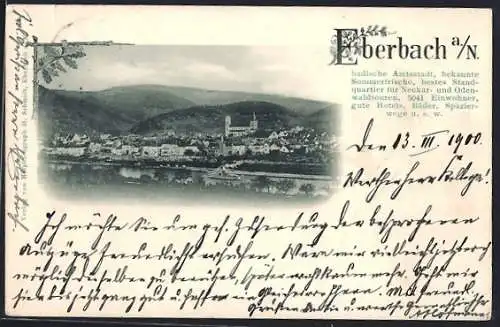 AK Eberbach a. N., Panorama mit Flusspartie