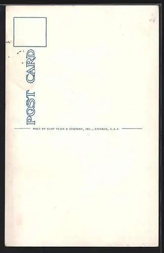 AK Chicago, IL, Fireplace, Edgewater Beach Hotel