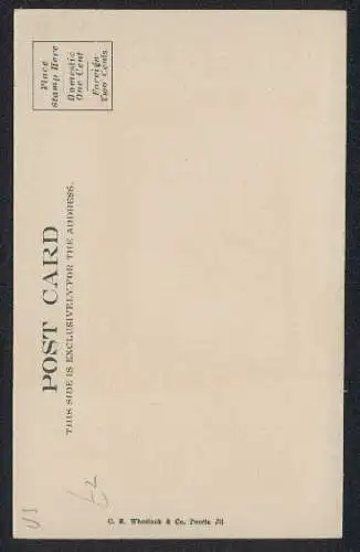 AK Tucson, AZ, Giant Cacti Forest