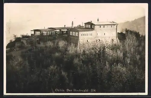 AK Oybin, Blick auf den Hochwald