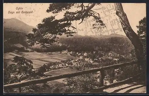 AK Oybin, Hayn mit Hochwald