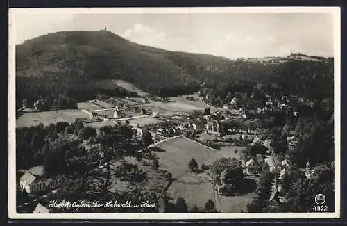 AK Oybin /Zittauer Gebirge, Der Hochwald und Hain