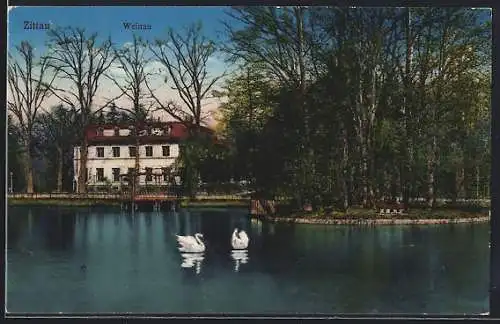 AK Zittau, Weinau, Schwäne auf dem Wasser