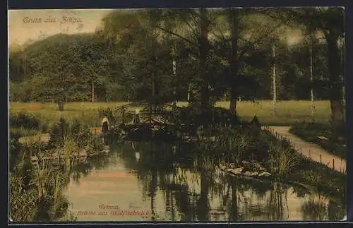AK Zittau, Weinau, Brücke am Goldfischteich