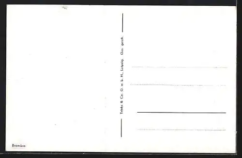 AK Cöthen /Anh., Partie im Schlosspark