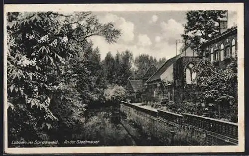 AK Lübben im Spreewald, An der Stadtmauer