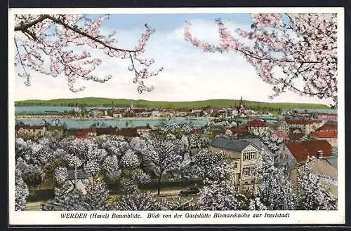 AK Werder /Havel, Baumblüte, Blick von der Gaststätte Bismarckhöhe zur Inselstadt