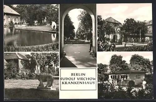 AK Berlin-Wedding, Rudolf Virchow-Krankenhaus, Parkpartie mit Statue, Eingangsportal, Teich, Kiosk