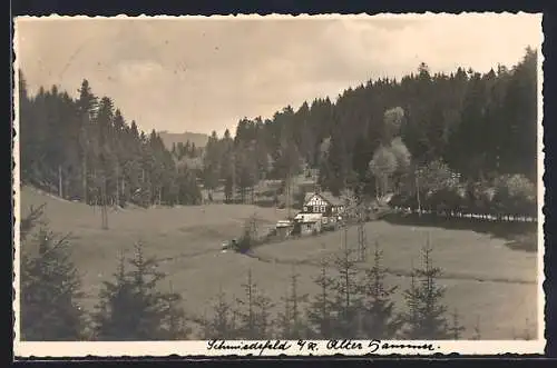 AK Schmiedefeld a. R., Ortsansicht mit Hof Alter Hammer und Waldpartie