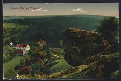 AK Neustadt /Orla, Harrasmühle mit Totenstein