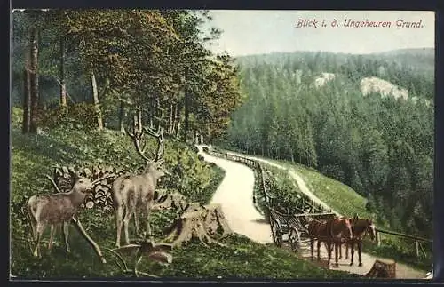 AK Friedrichroda, Blick in den Ungeheuren Grund mit Rehen und Pferdewagen
