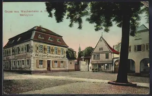 AK Wachenheim a. H., Winzergenossenschaft am Marktplatz