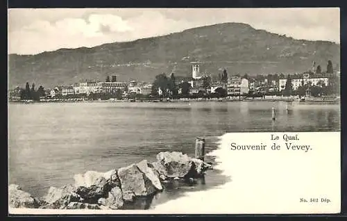 AK Vevey, Le Quai