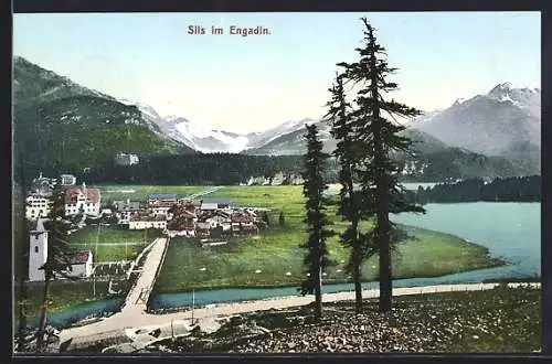 AK Sils, Panorama