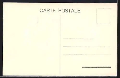AK Genève, Jonction de l`Arve et du Rhône et le Mont-Blanc