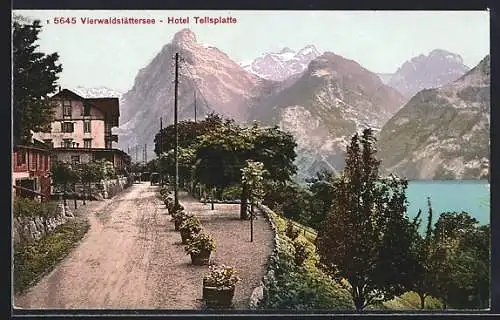 AK Sisikon, Hotel Tellsplatte am Vierwaldstättersee