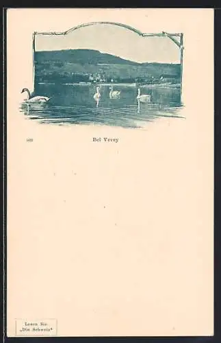AK Vevey, Wasserpartie mit Schwänen