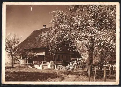 AK Lenz, Altes Haus vom Blaukreuzjugendwerk
