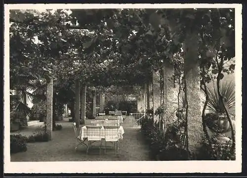 AK Lugano-Cassarate, Weinlauben Terrasse des Strand Hotel Seegarten