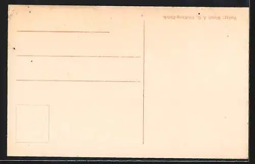 AK Wassen /Gotthardbahn, Totalansicht mit Bergblick aus der Vogelschau