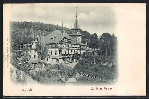 AK Zürich, Waldhaus Dolder mit Garten aus der Vogelschau