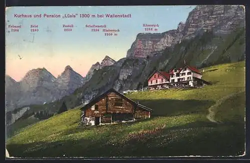 AK Wallenstadt, Hotel u. Pension Lüsis mit Gipfelpanorama