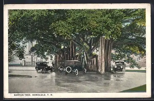 AK Honolulu, HI, Giant Banyan Tree
