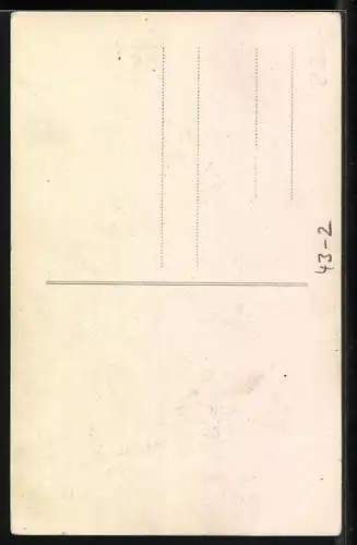 Künstler-AK Dame im Badeanzug wird getragen