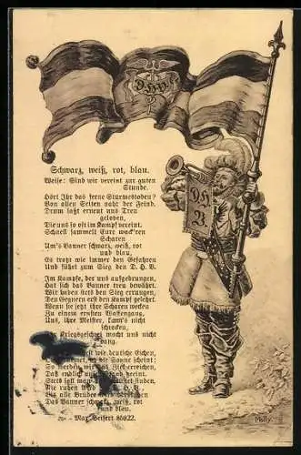 Künstler-AK Mann mit Fahne des D.H.V. mit Gedicht Schwarz, weiss, rot, blau