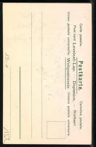 Präge-Lithographie Schwein mit Rosen, Brief und Geld-Münzen, Neujahr