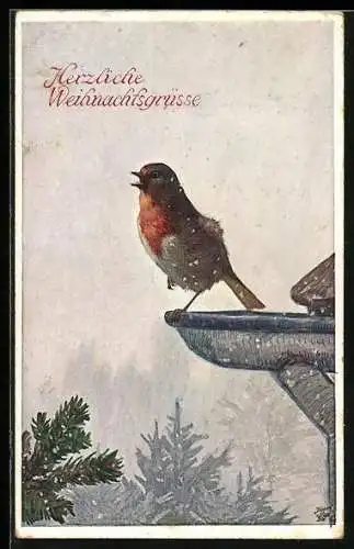 Künstler-AK Wohlgemuth & Lissner, Primus-Postkarte No. 1171: Rotkehlchen, Weihnachtsgruss