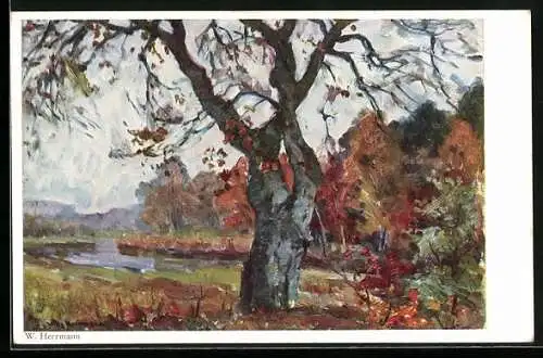 Künstler-AK Wohlgemuth & Lissner, Primus-Postkarte No. 3422: Waldesfrieden, Weiher