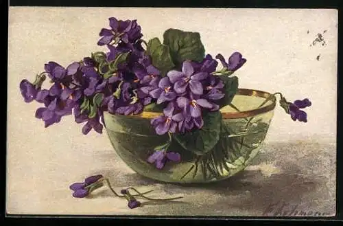 AK Veilchen in einer Schale mit Wasser