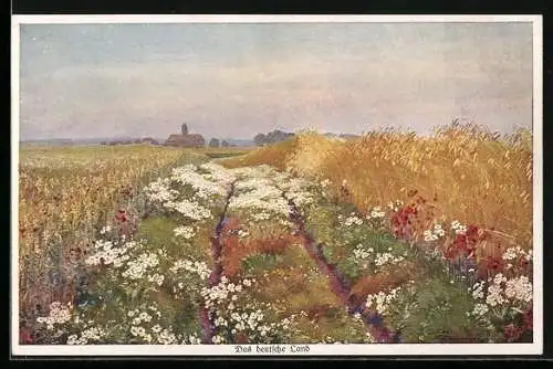 Künstler-AK Wohlgemuth & Lissner, Primus-Postkarte No. 1095: Blumenwiese am Feld